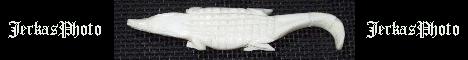 kroko2.gif