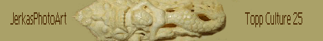 sjojungfru.gif